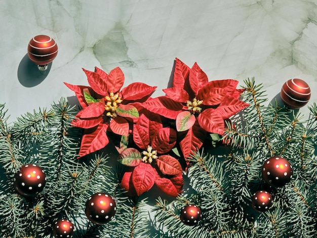 Telón de fondo de Navidad con ramitas de abeto y flores de nochebuena estrella de Navidad roja Baratijas de vidrio de adornos rojos