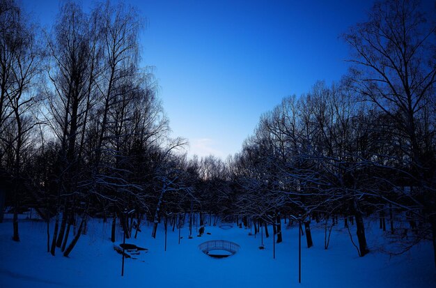 Telón de fondo del parque de invierno al atardecer