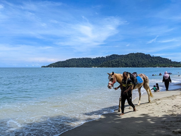 Teluk senangin perak 9 de outubro de 2022 um homem está passeando com seu cavalo na praia