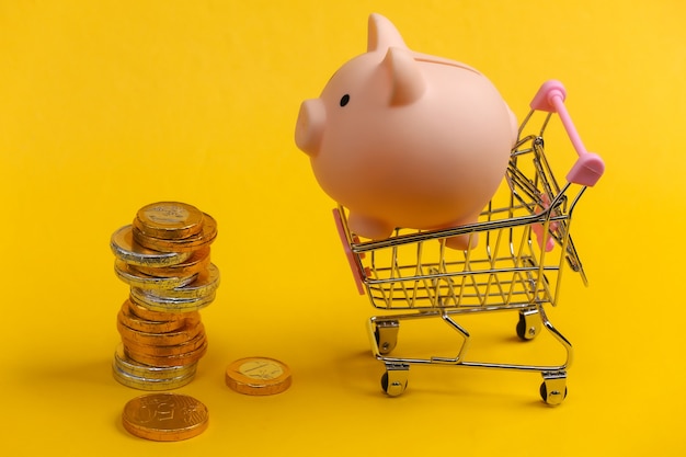 Foto tema de compras. mini carro de supermercado con hucha y monedas en amarillo.