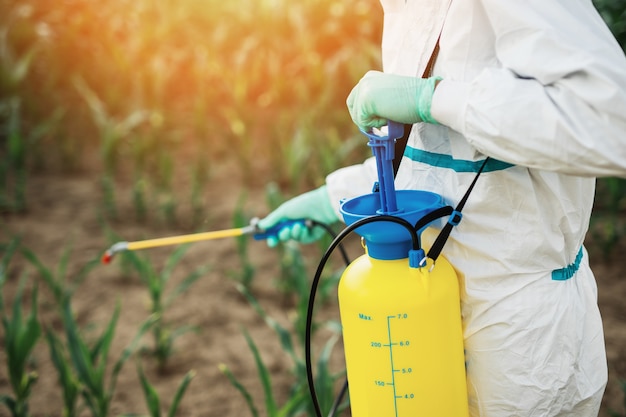 Tema de agricultura industrial. Homem pulverizando pesticidas ou inseticidas tóxicos na plantação de milho.