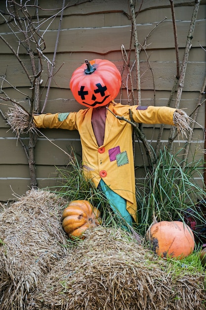 Foto tema de decoración de halloween en un jardín público al aire libre, calabazas aterradoras en el suelo.