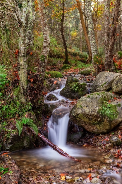 Tema mágico del paisaje de otoño. La fuente se ejecuta en una viga.