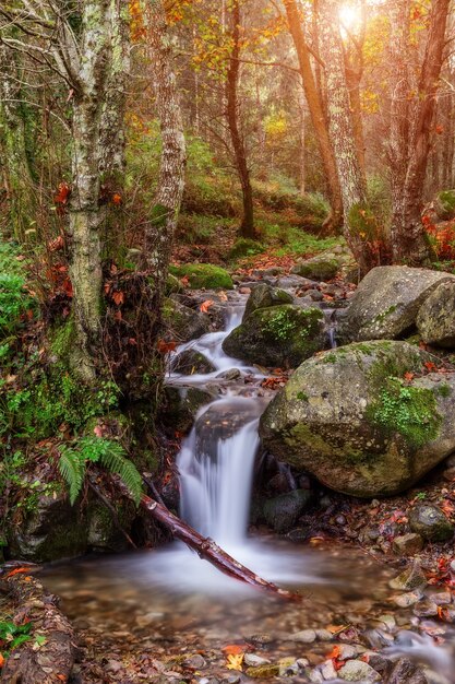 Tema mágico del paisaje de otoño. El sol se abre paso hasta la fuente.