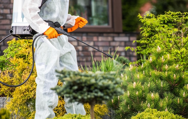 Tema de trabajo de jardín de insecticidas