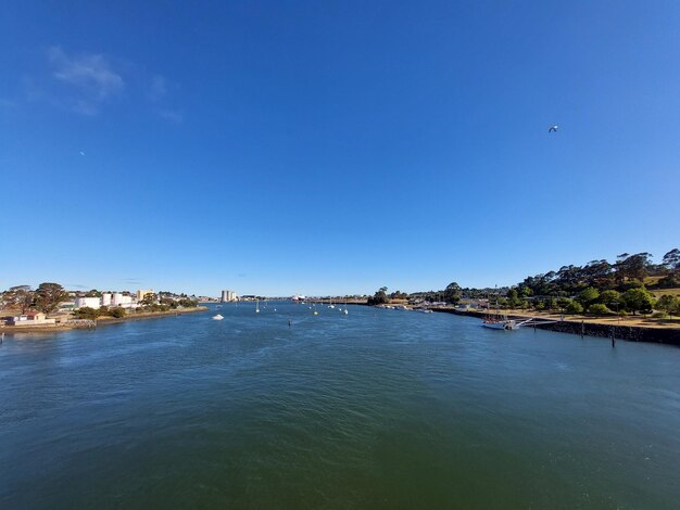 Foto temas de animais em east devonport