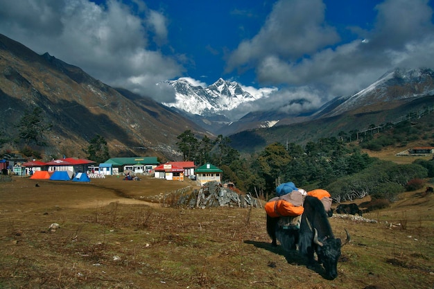 Foto temboche