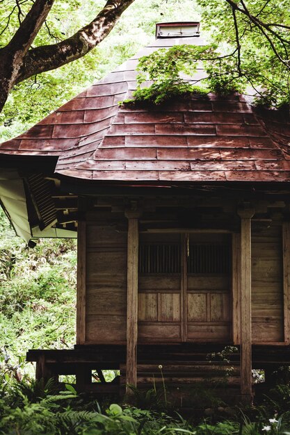 Foto tempel an bäumen auf dem feld.