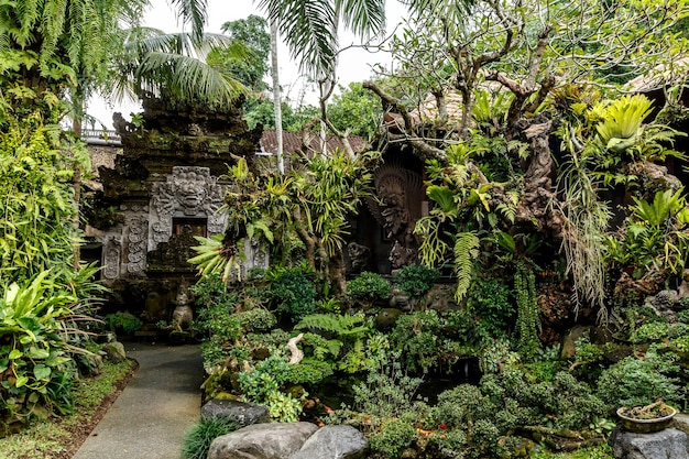 Tempel im Dschungel der Insel Bali.