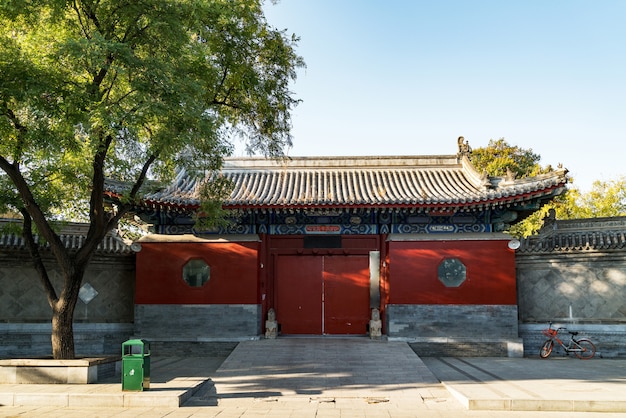 Tempeleingang und Baum, Peking, Porzellan