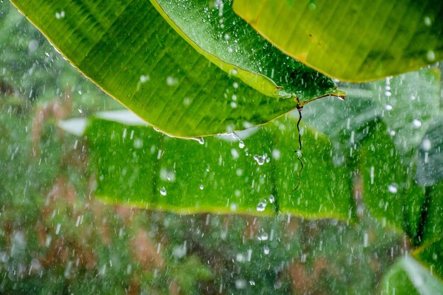 Foto tempestade chuvosa