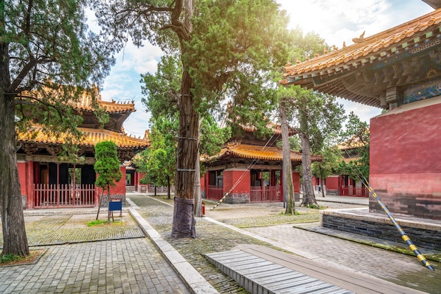 Templo y cementerio de Confucio de Qufu en China-UNESCO World Heritage