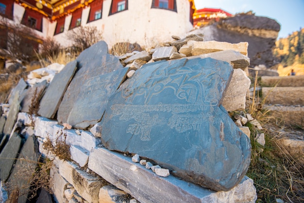 Foto templo de chonggu en la reserva natural de yading.