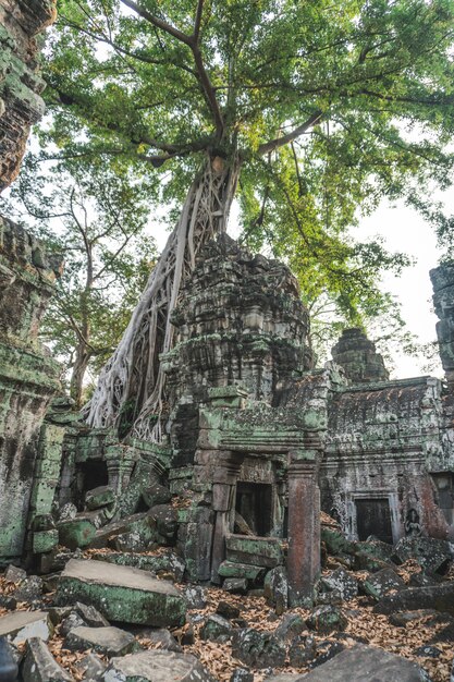 Templo de angkor wat ta prohm no camboja