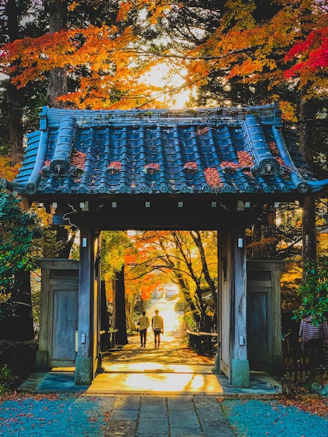 Templo de Japan