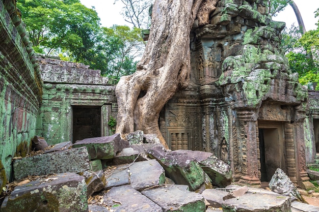 Templo de Ta Prohm em Angkor Wat