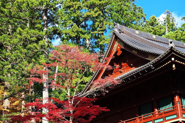 Templo de toshogu no outono nikko japão