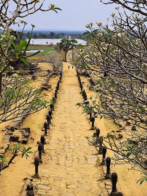 Templo de vat phou em laos