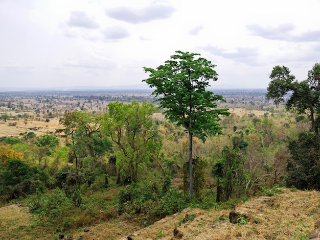 Templo de Vat Phou em Laos