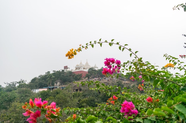 Templo Digambara Jain ubicado en Khandagiri Odisha