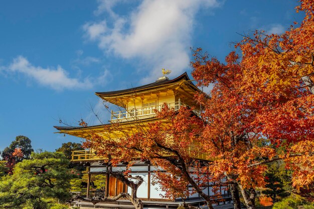 Templo e jardim de Kinkakuji