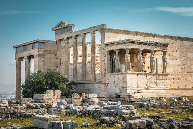 Templo Erecteion con pórtico de cariátides en la Acrópolis Atenas Grecia La famosa colina de la Acrópolis es un hito principal de Atenas Ruinas griegas antiguas en el centro de Atenas Restos de la antigua Atenas en verano