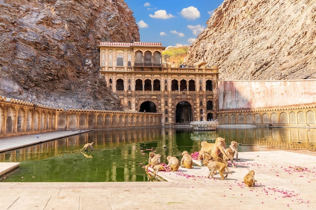 Templo de Galta Ji o complejo de templos de monos en Jaipur, India