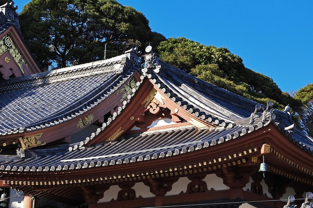 Foto templo hase-dera em kamakura, japão