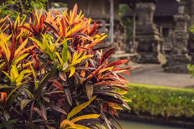 Templo hindú balinés tradicional Taman Ayun en Mengwi. Bali, Indonesia