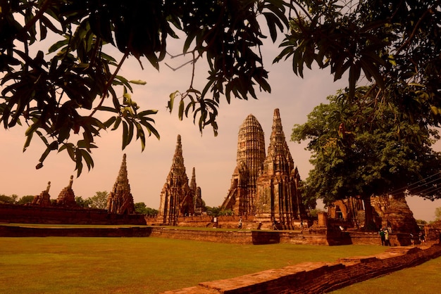 Templo histórico con ramas de árboles en primer plano