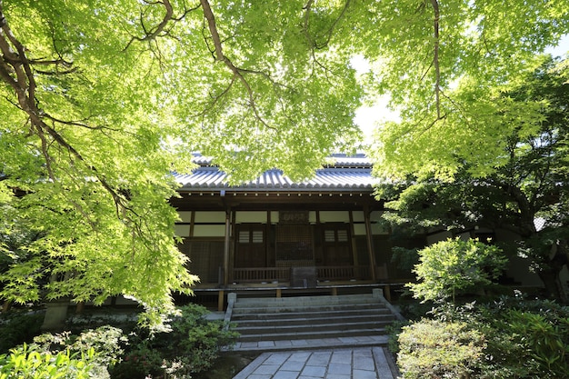 Templo japonés en el jardín