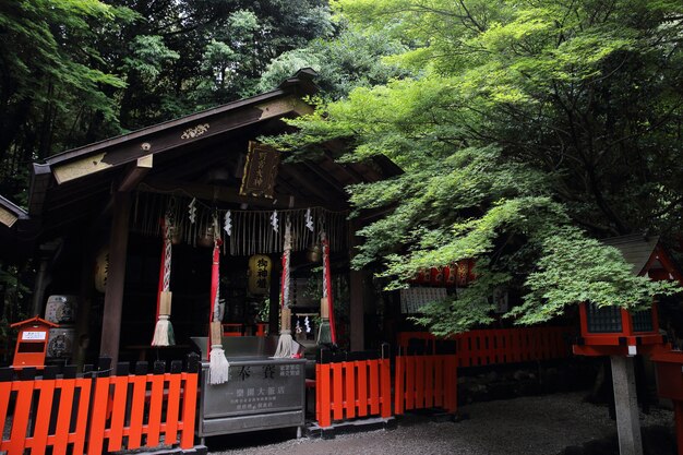 Templo japonés con puerta roja japonesa y hojas de arce verde en Kioto, Japón