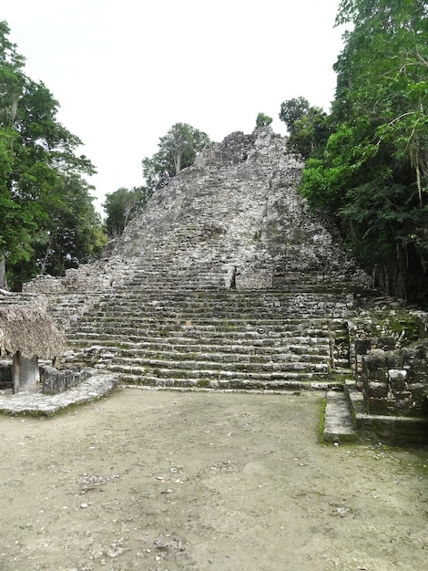 Templo maya