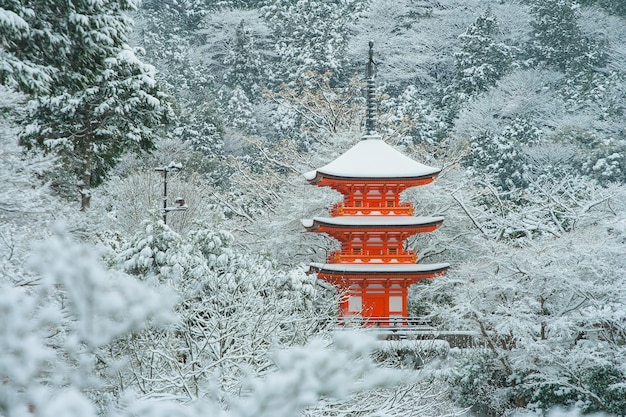 Templo en medio de árboles cubiertos de nieve