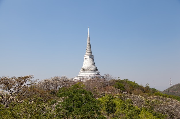 Templo y Pagoda