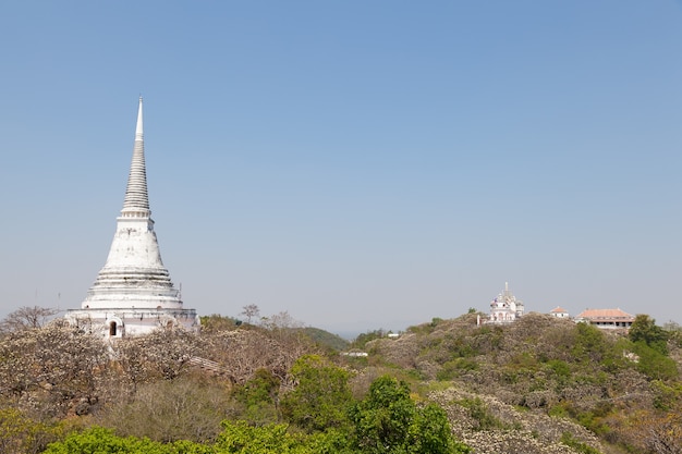 Templo y Pagoda