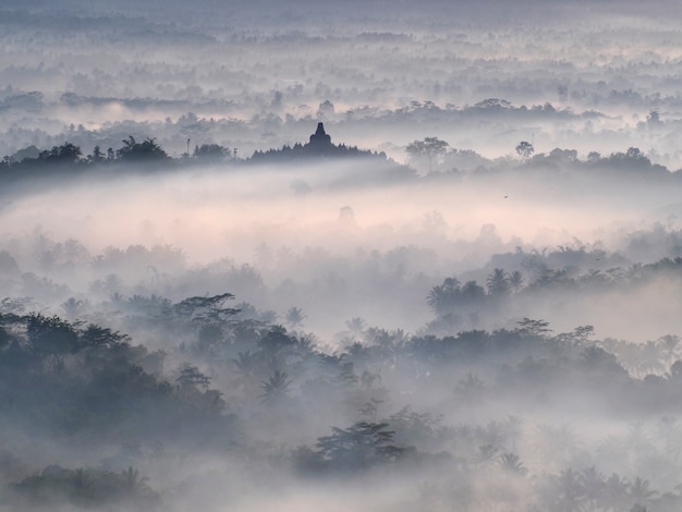 Foto templo sagrado de borobudur en un hermoso amanecer de niebla visto desde la colina setumbu
