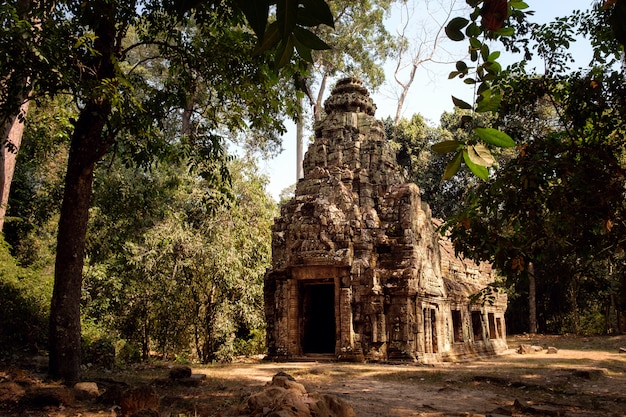 Templo en la selva, complejo de Angkor Wat en Camboya