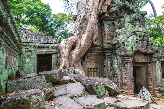 Templo de Ta Prohm en Angkor Wat