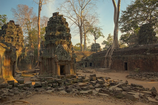 Templo Ta Prohm em Angkor Wat Camboja