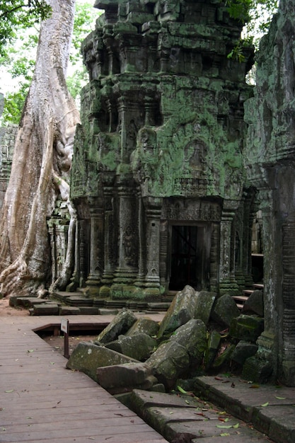 Templo Ta Prohm em Siem Reap