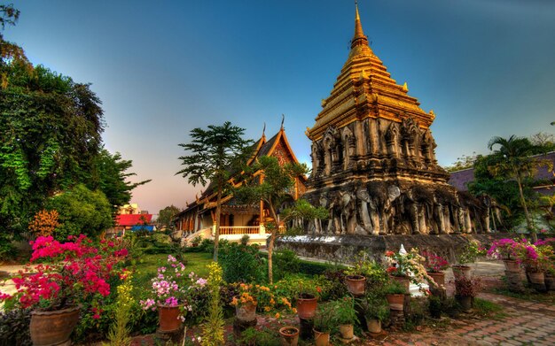 Foto un templo con un templo en el fondo y flores en el primer plano