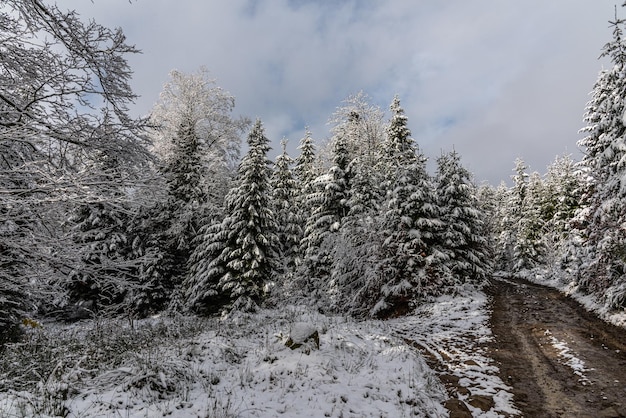 Tempo com neve nas montanhas