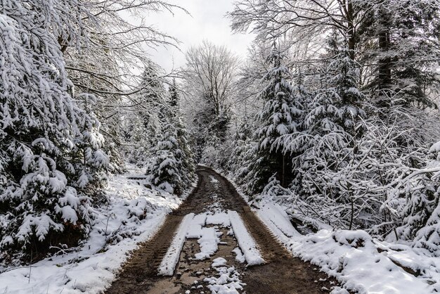 Tempo com neve nas montanhas