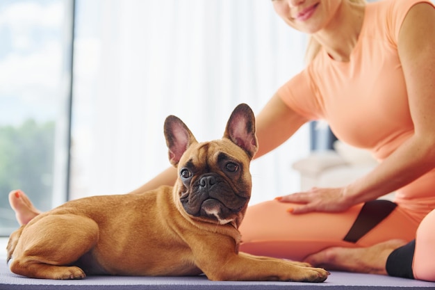 Tempo de ioga mulher com cachorro pug está em casa durante o dia