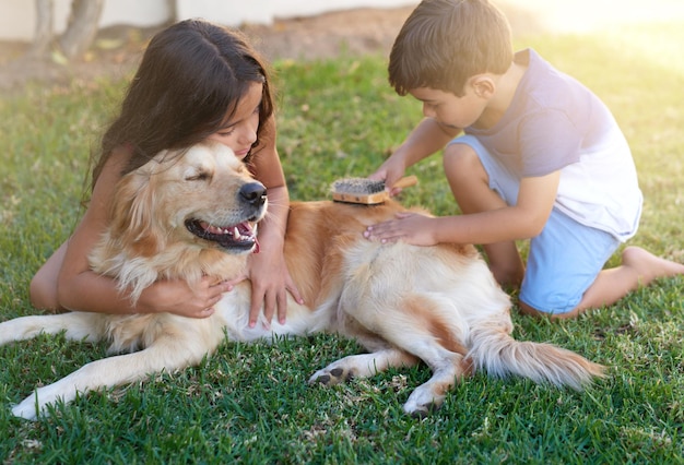 Tempo de mimo para seu cão foto de um garotinho e sua irmã escovando o casaco de seus cães no quintal de casa