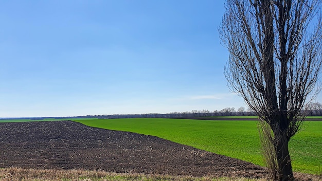Tempo de semeadura na Ucrânia durante a guerra Preparando campos para semear grãos O céu azul lavou o terror terrestre