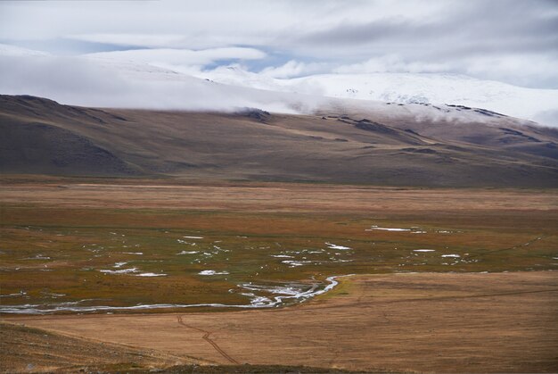 Tempo nublado e frio na área estepe. O platô de Ukok de Altai. Paisagens frias fabulosas