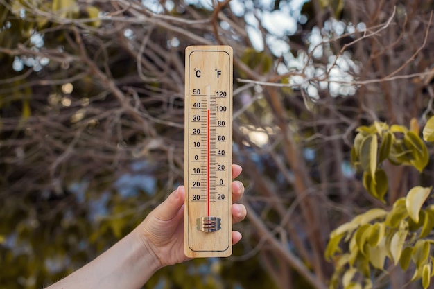 Tempo quente Termômetro na mão na frente de plantas secas durante a onda de calor Conceito de alta temperatura e meteorologia