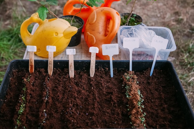 Temporada de fazenda de estufa de prancha de horticultura